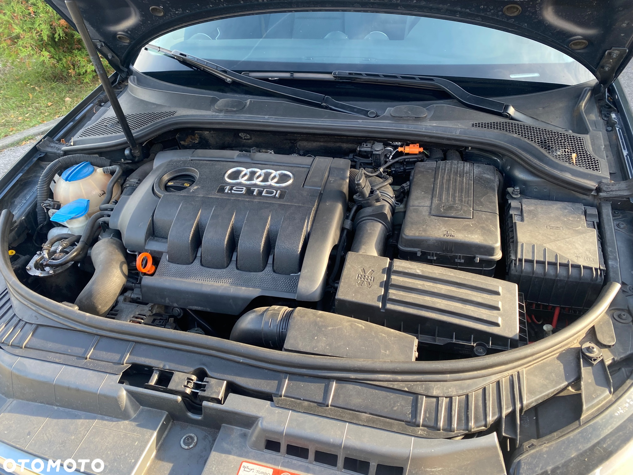 Audi A3 1.9 TDI DPF Ambiente - 6