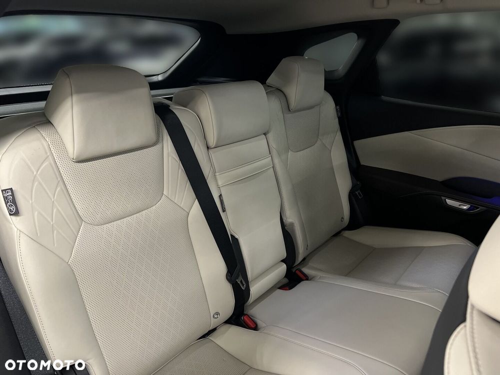 Lexus RX - 14