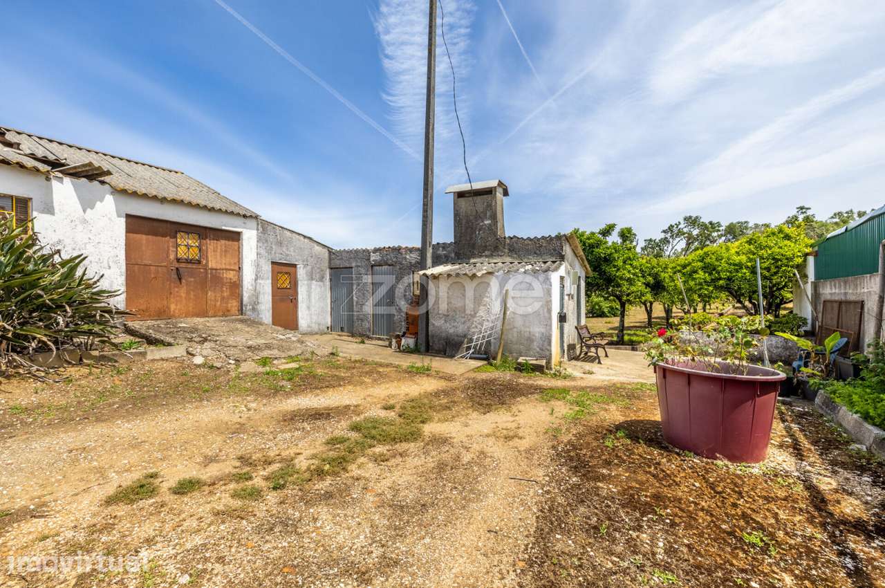 Terreno com Casa de Apoio Agrícola em Tomar - Grande imagem: 2/43