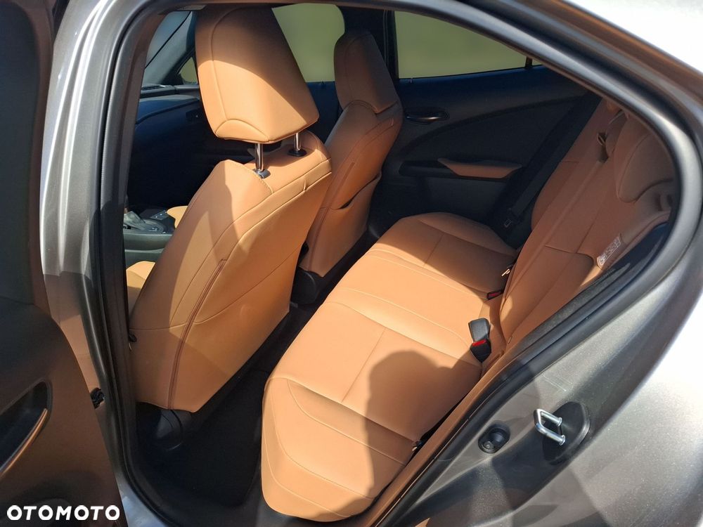 Lexus UX 200 GPF F Sport Design+ 2WD - 12