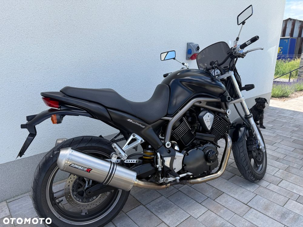 Yamaha Bulldog - 3