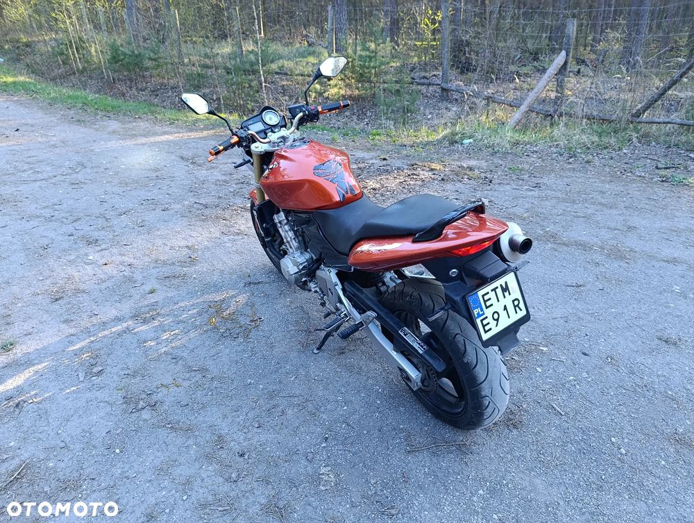 Honda Hornet - 12