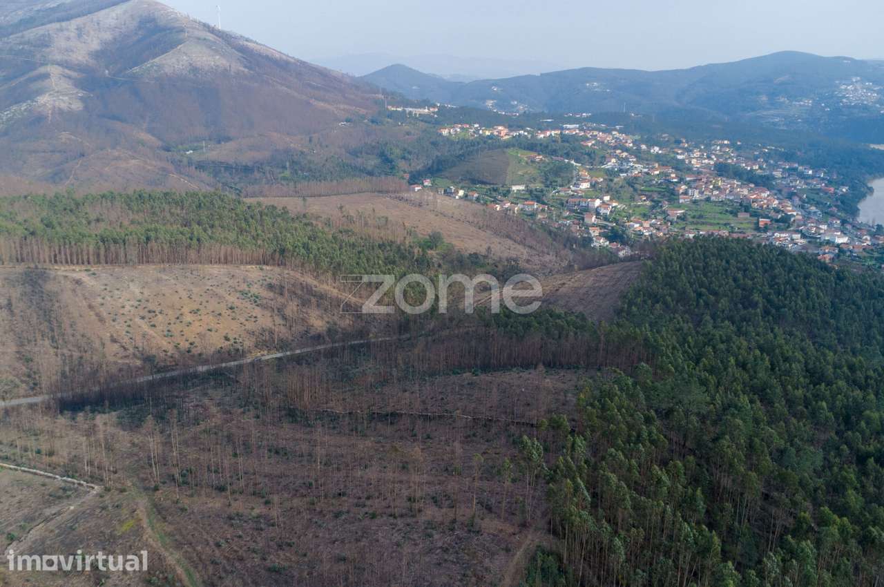 Terreno florestal urbanizável com 7.800 m2 - Rio Mau, Penafiel - Grande imagem: 3/9