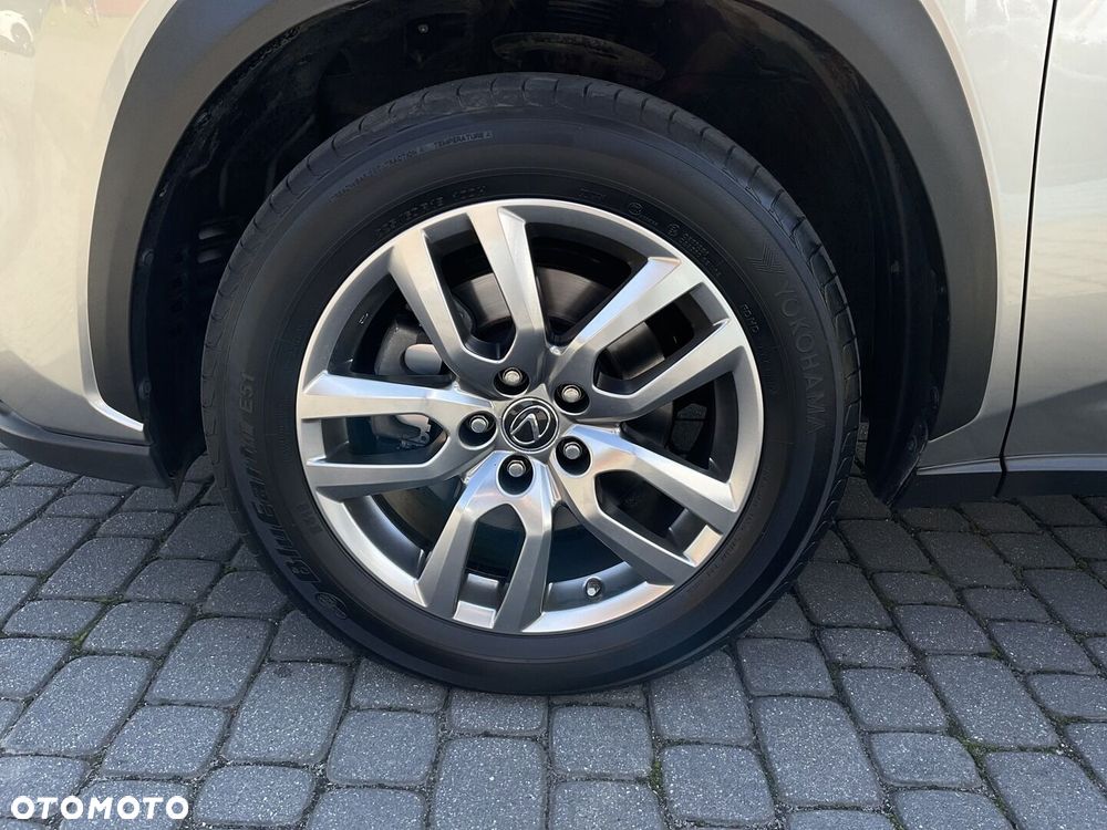 Lexus NX 300h Business Edition AWD - 30