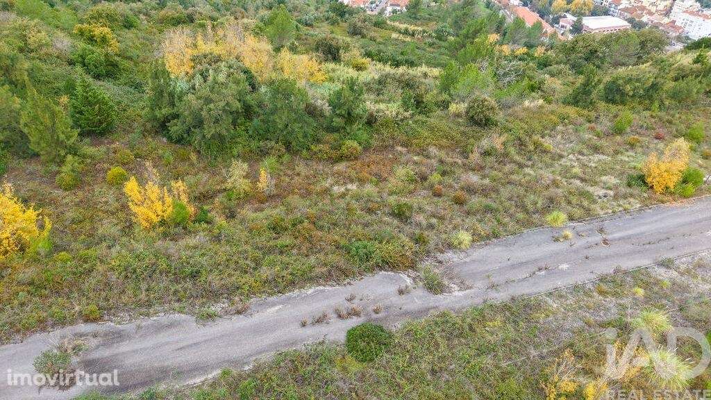 Terreno para construção em Alenquer - Grande imagem: 2/14