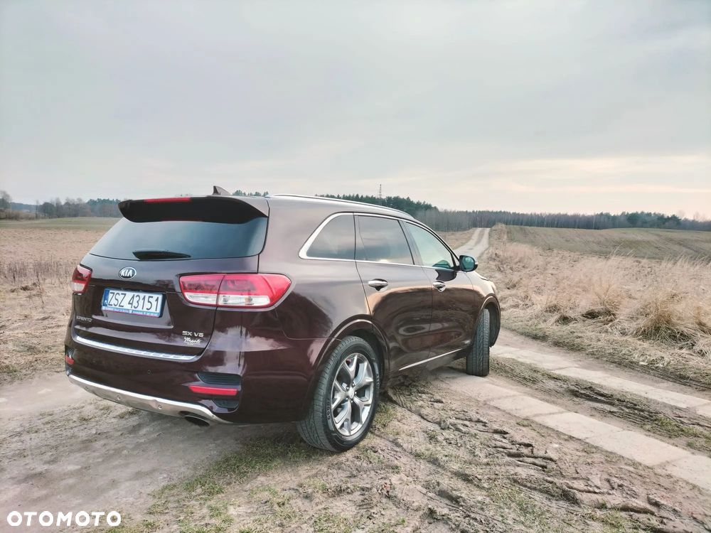 Kia Sorento - 16