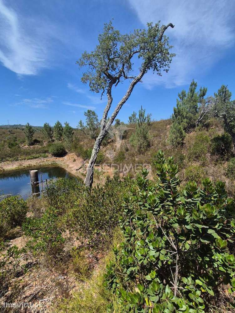 Um Paraíso Natural entre Santiago do Cacém e Porto Covo. - Grande imagem: 4/12