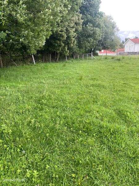 Terreno para construção e rustica perto da zona Industrial de Fiães - Grande imagem: 3/12