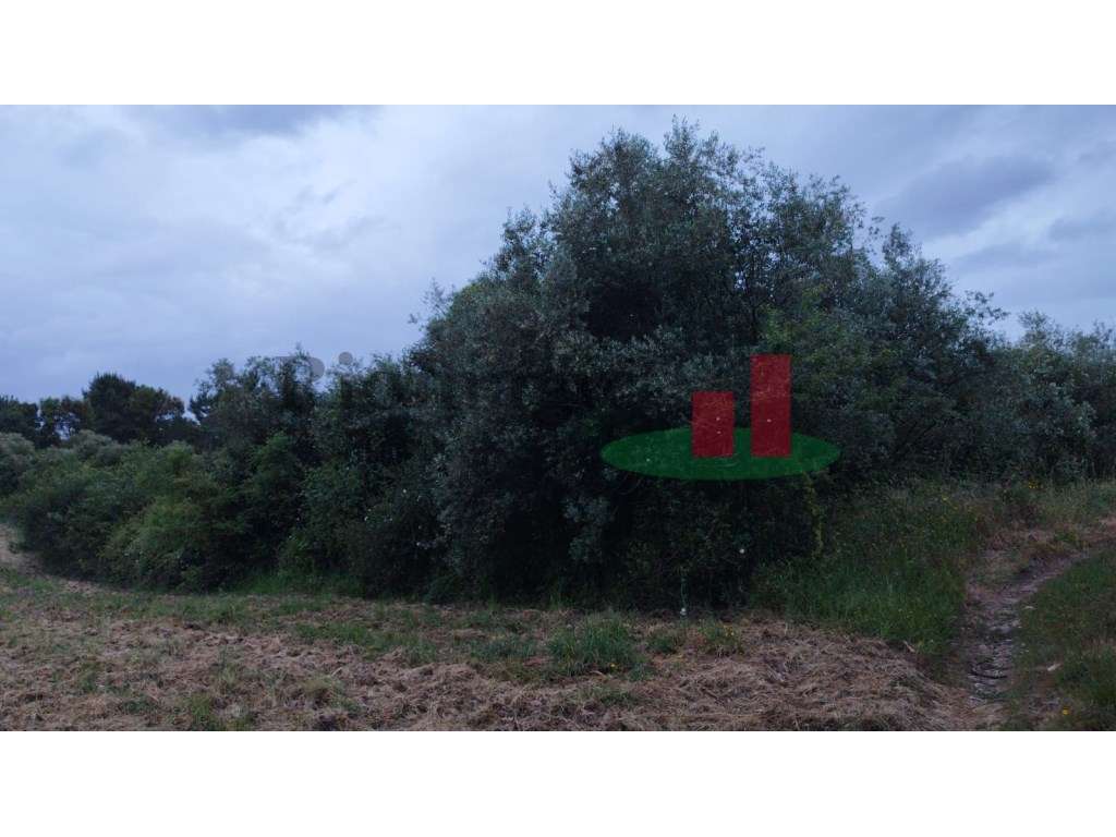 Terrenos rústicos Asseiceira***RIOMAGIC*** - Grande imagem: 2/8