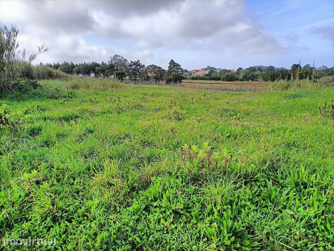Terreno P/construção Raposos ,Alcobaça-Leiria - Grande imagem: 3/13