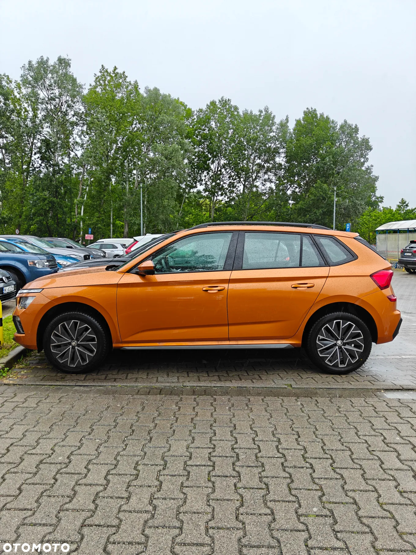 Skoda Kamiq 1.5 TSI Selection DSG - 3