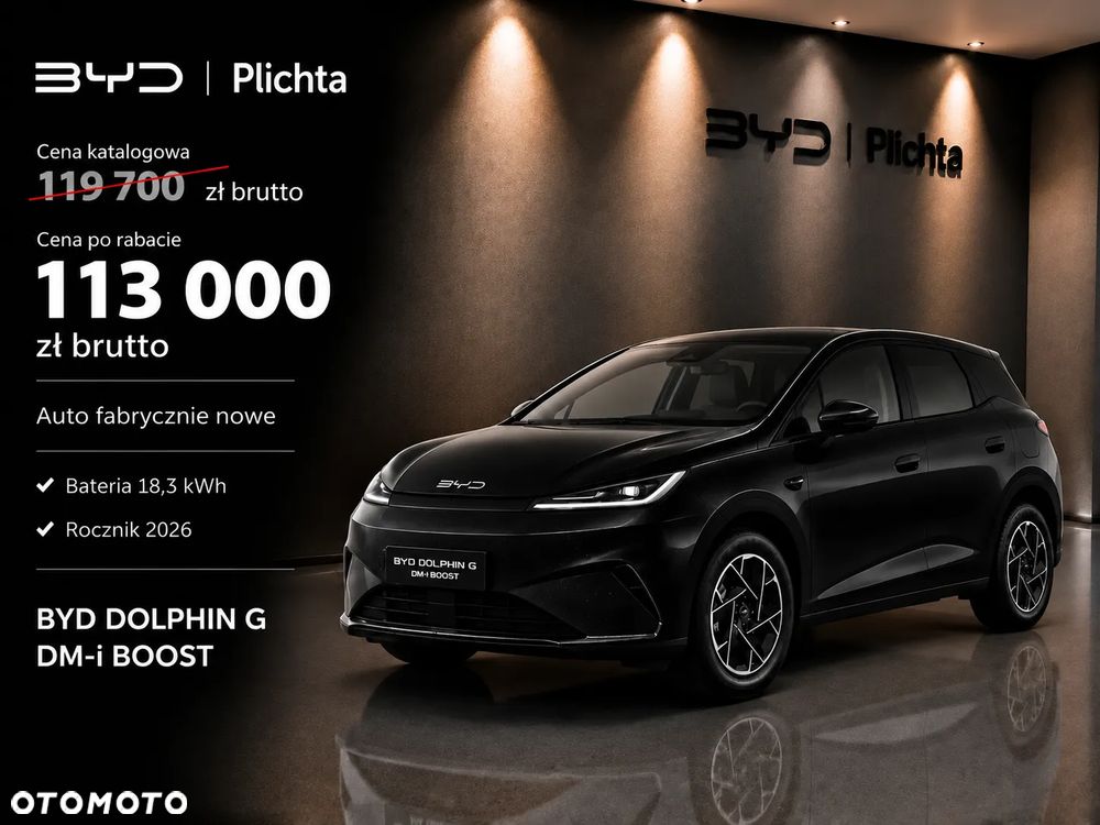 BYD Dolphin G - 1