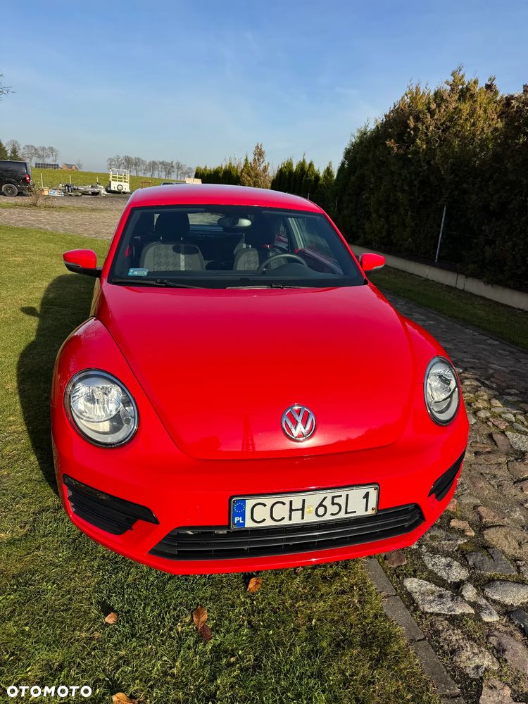 Volkswagen Beetle - 4