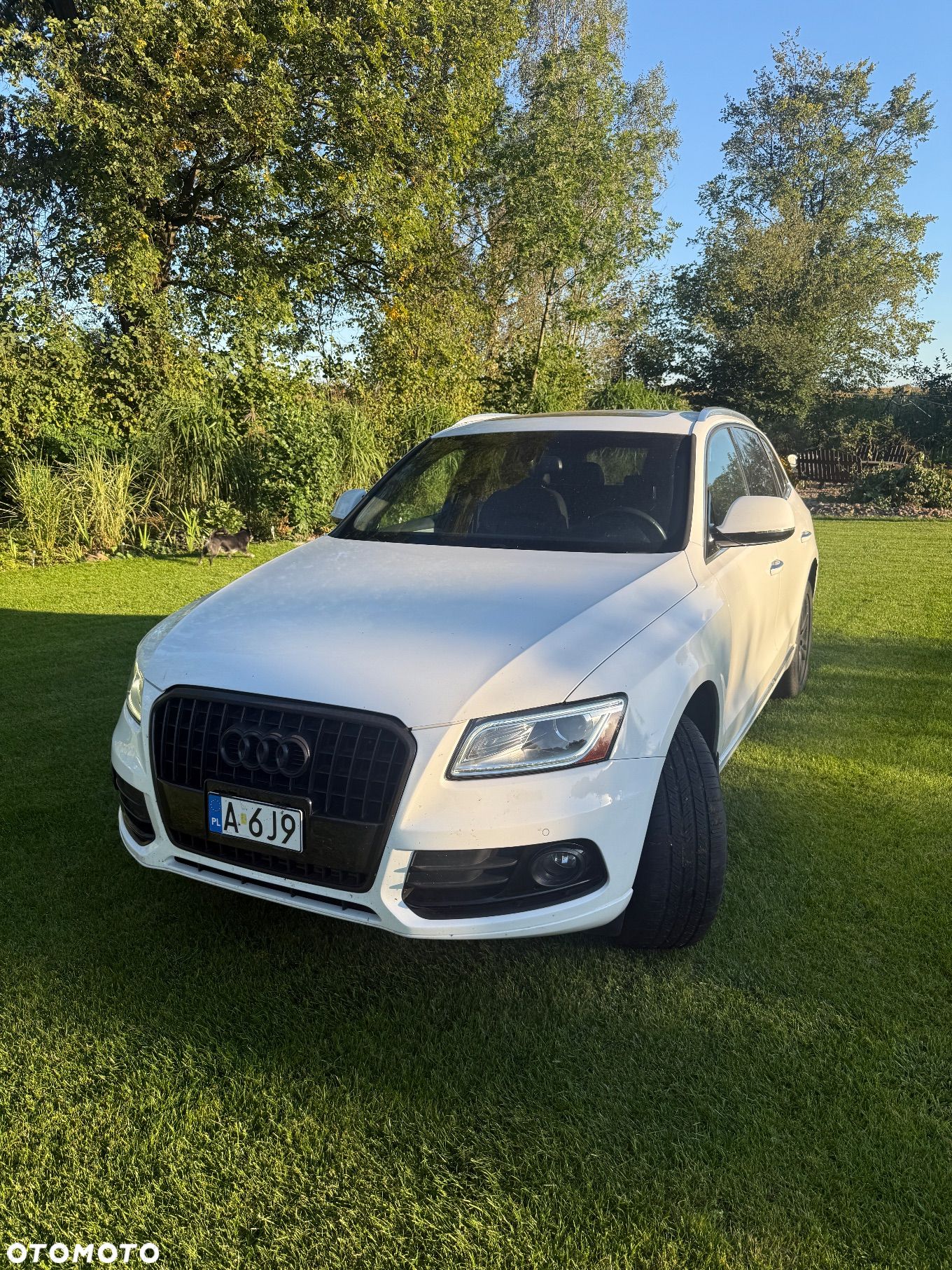 Audi Q5 2.0 TFSI Quattro Tiptronic - 1