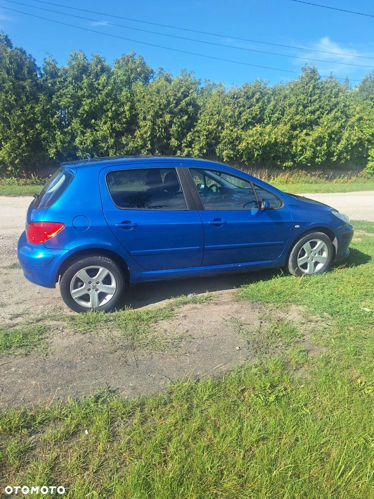 Peugeot 307 - 6