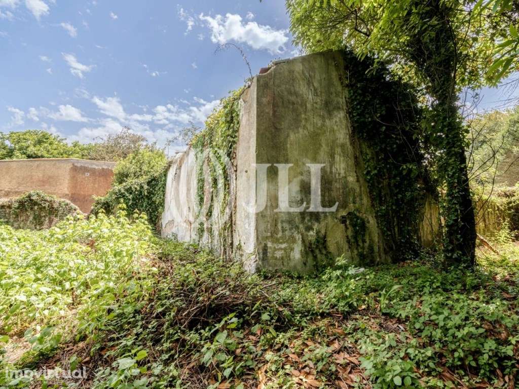 Terreno com projeto para moradia T5, S.Pedro de Sintra - Grande imagem: 5/32