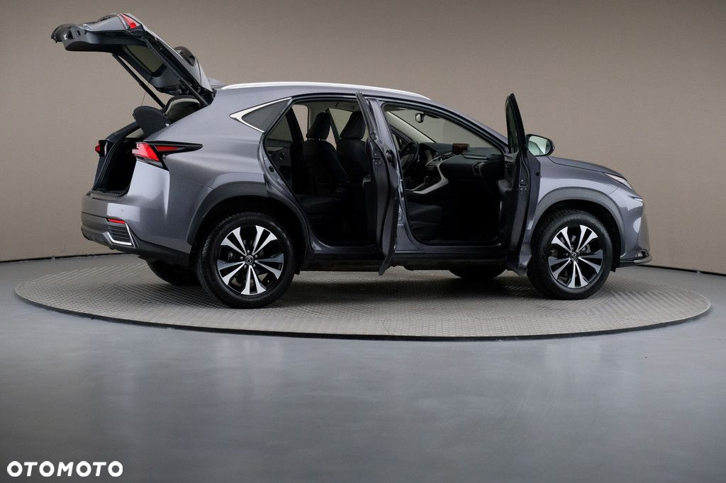 Lexus NX - 6