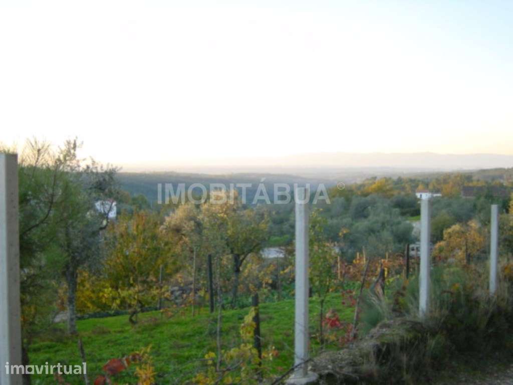 Pouco mais de um hectare de terreno com belas vistas para a montanh... - Grande imagem: 2/6