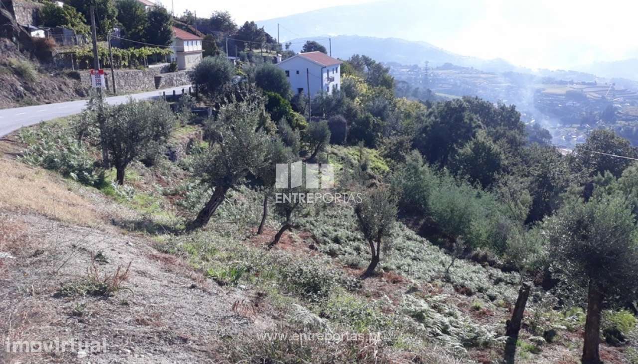 Venda Terreno, vista panorâmica, Valadares, Baião - Grande imagem: 4/6