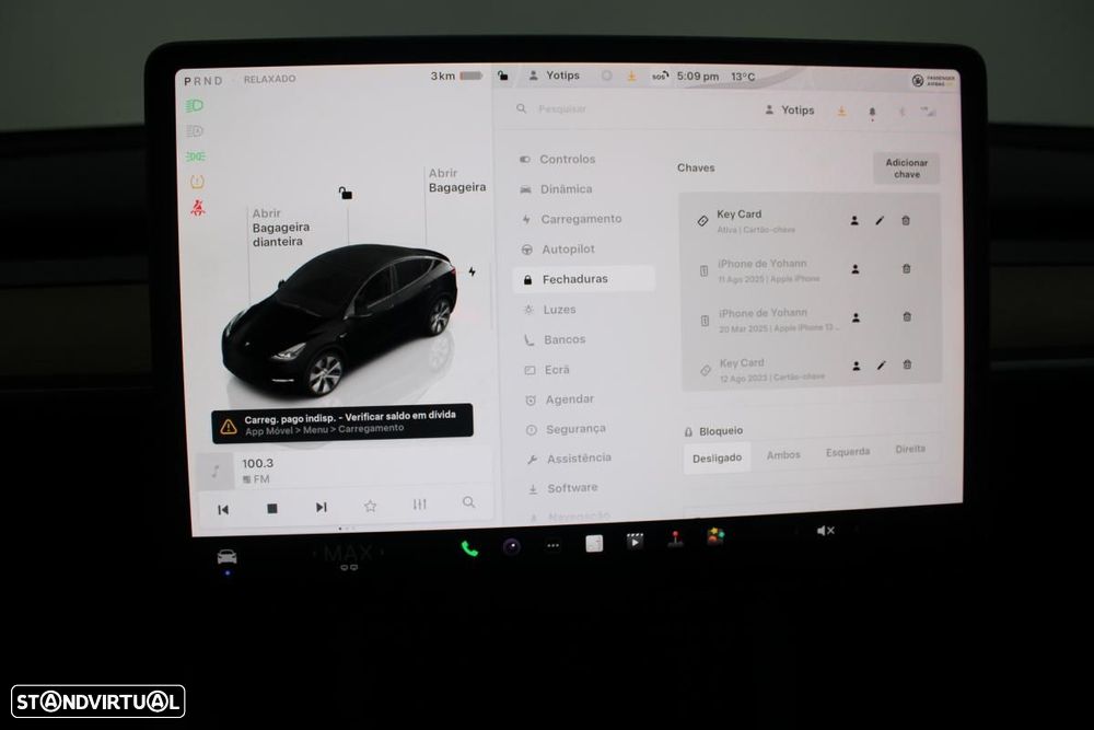 Tesla Model Y Standard - 22