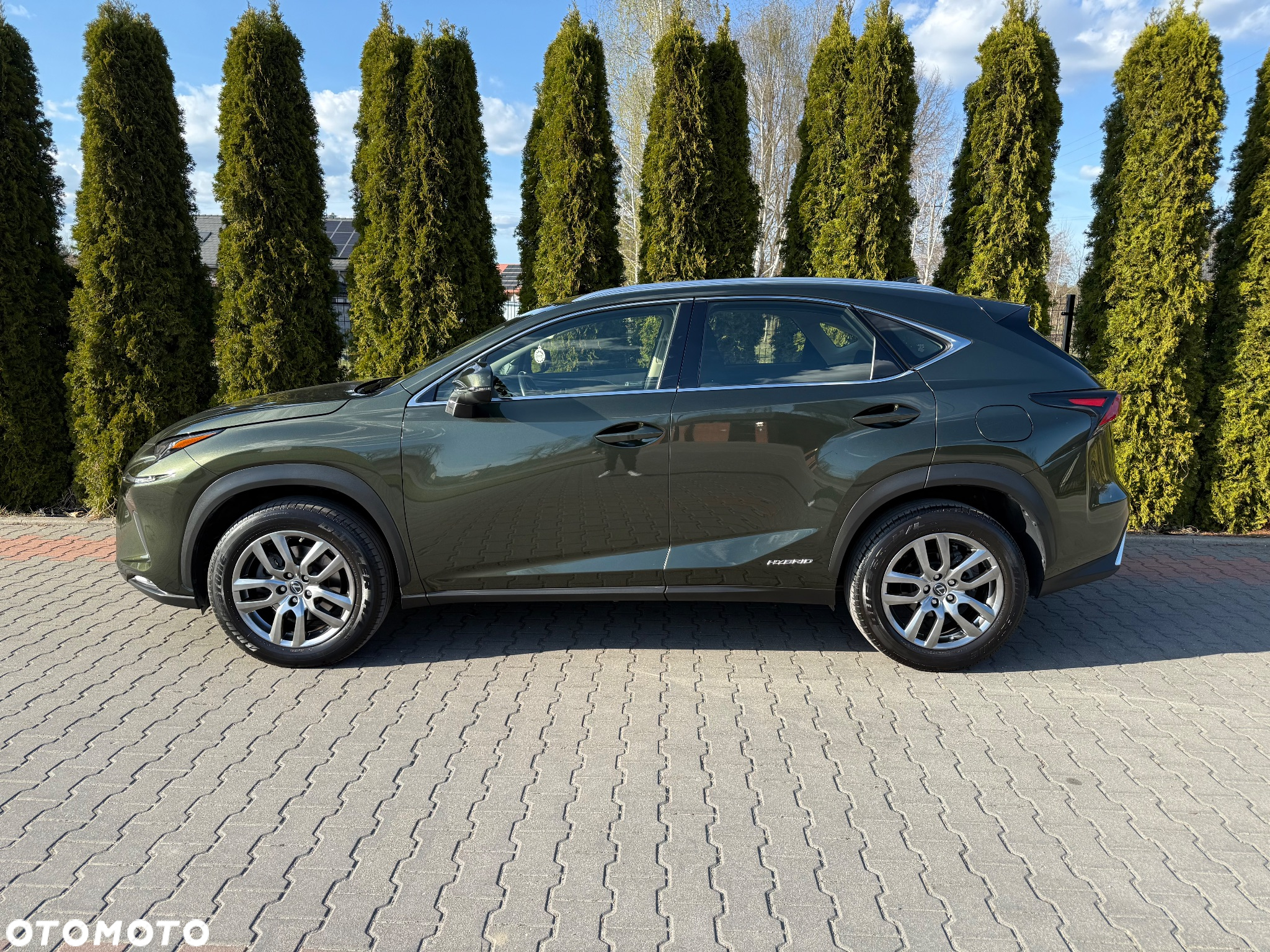Lexus NX - 19