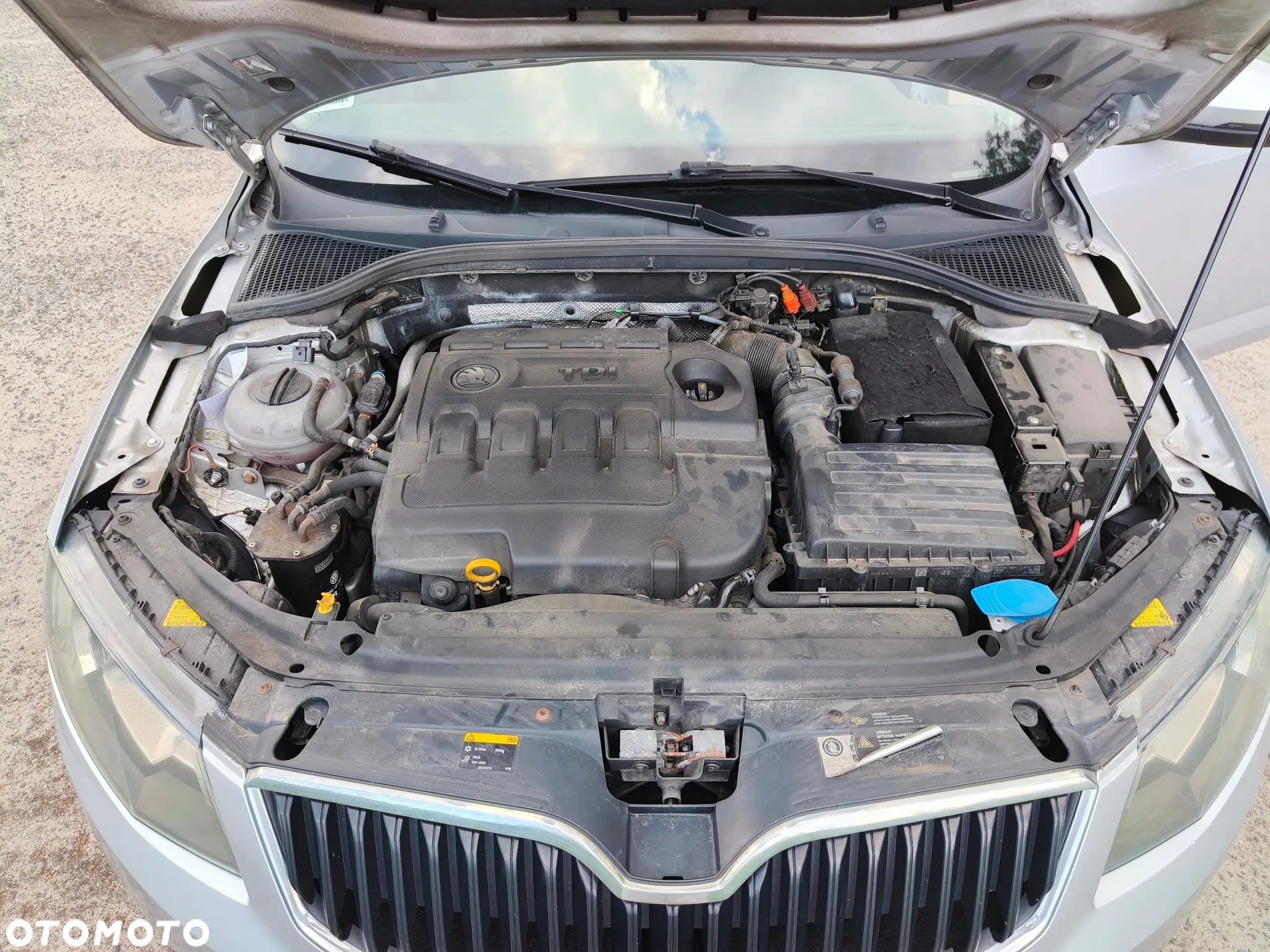Skoda Octavia - 20