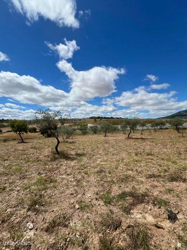 Terreno  para venda - Grande imagem: 3/6