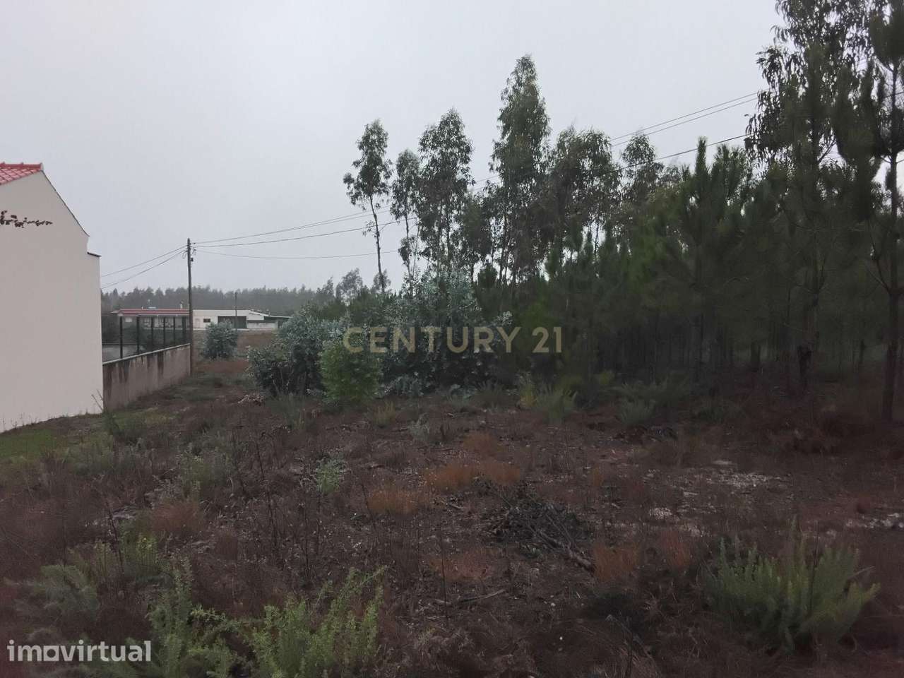 Terreno rústico à Venda em Grou, Guia, Pombal - Grande imagem: 5/7
