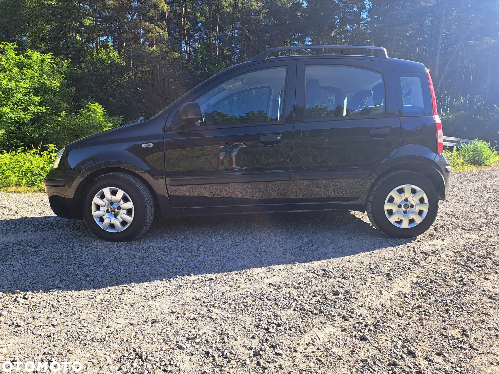 Fiat Panda 1.2 Dynamic Olympic - 8