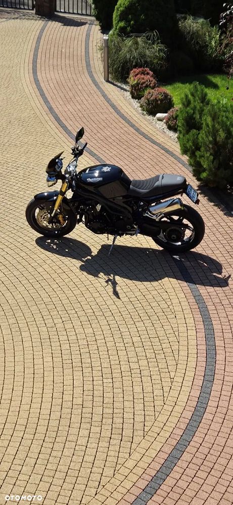 Triumph Speed Triple - 14