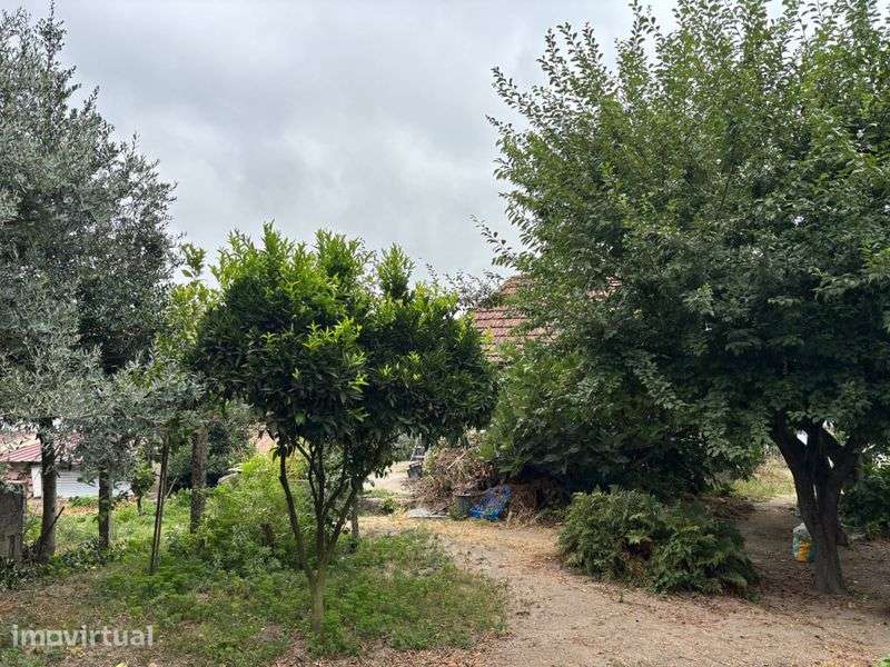 Vende-se Casa e Terreno - Grande imagem: 3/4