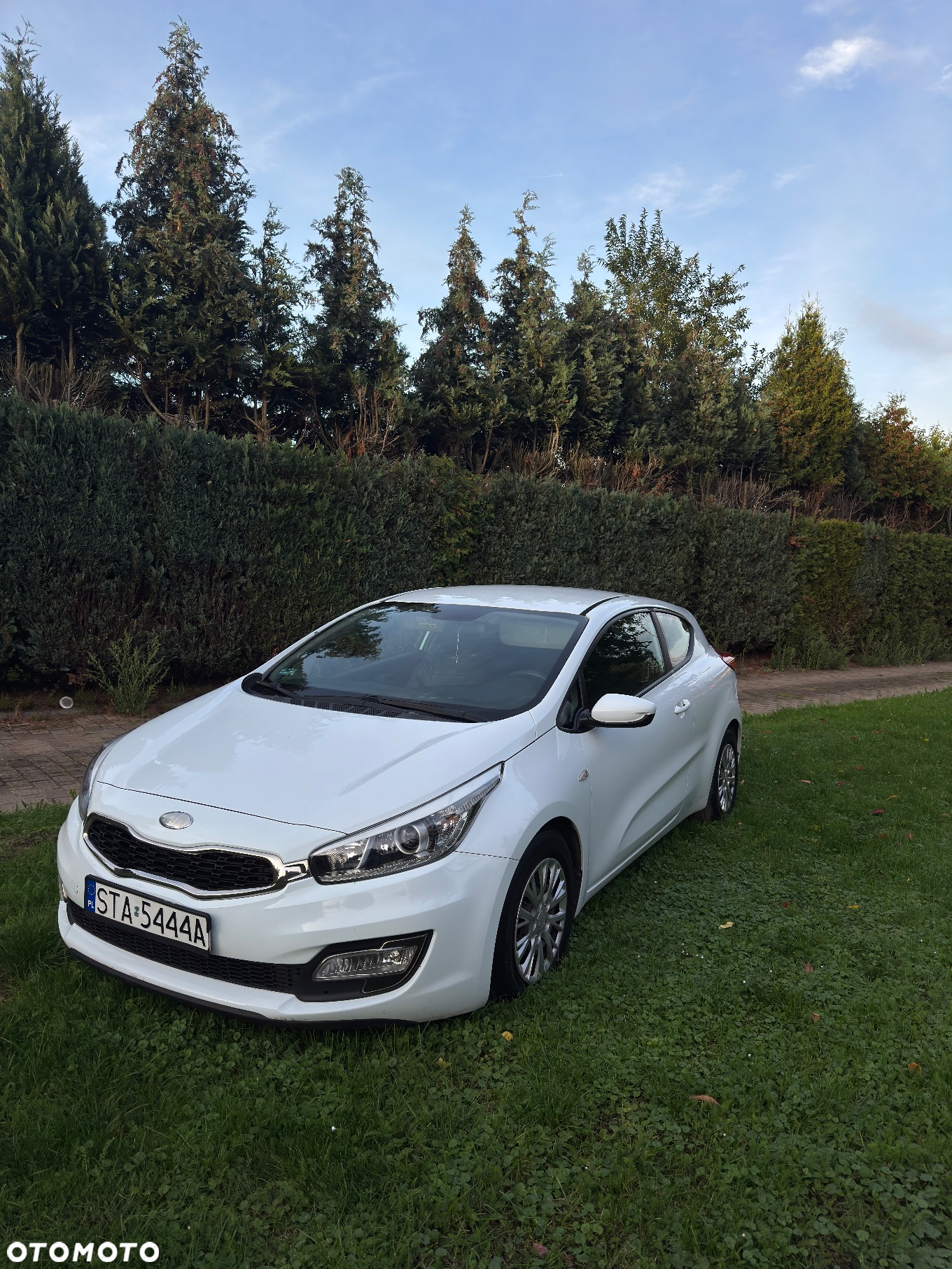 Kia ProCeed Pro_cee'd 1.4 CRDI M - 2