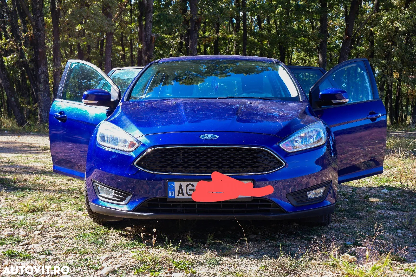 Ford Focus - 6