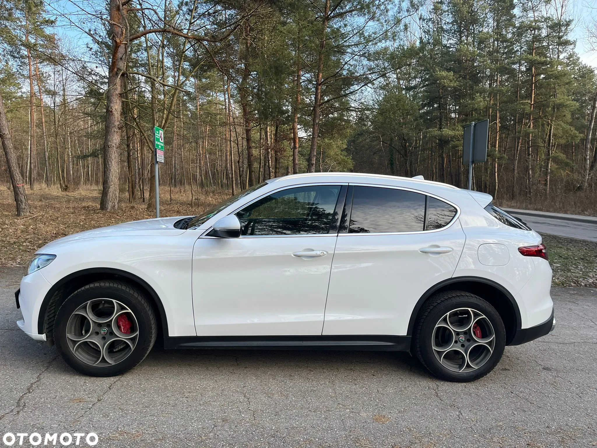 Alfa Romeo Stelvio 2.0 Turbo Executive Q4 - 3