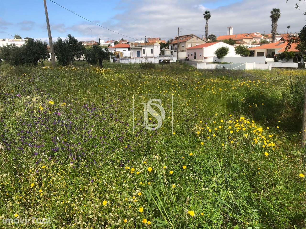 Terreno Para Construção  Venda em Meia Via,Torres Novas - Grande imagem: 4/9