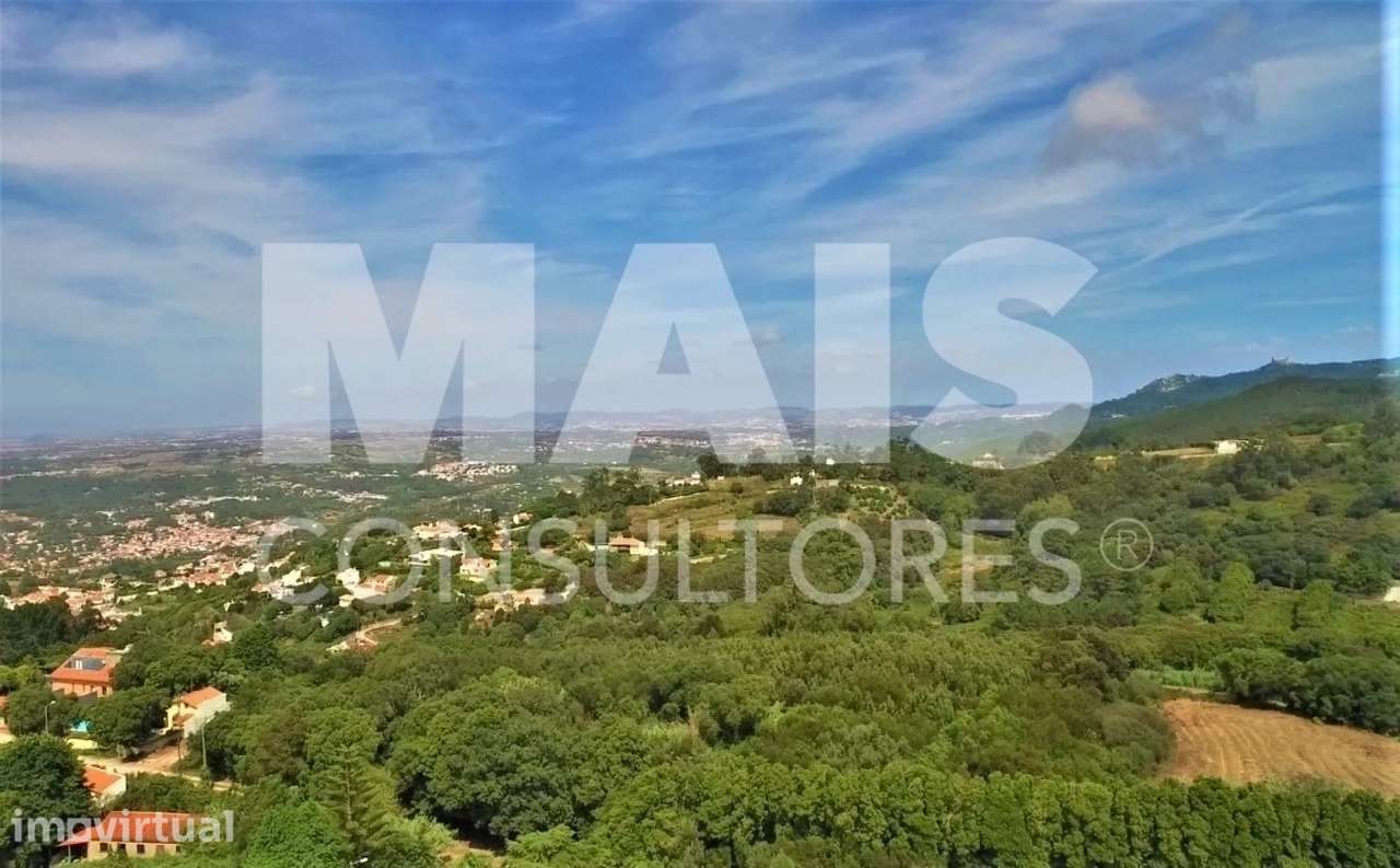 Terreno para Construção com 11640 M2 em Colares, Sintra - Grande imagem: 4/5