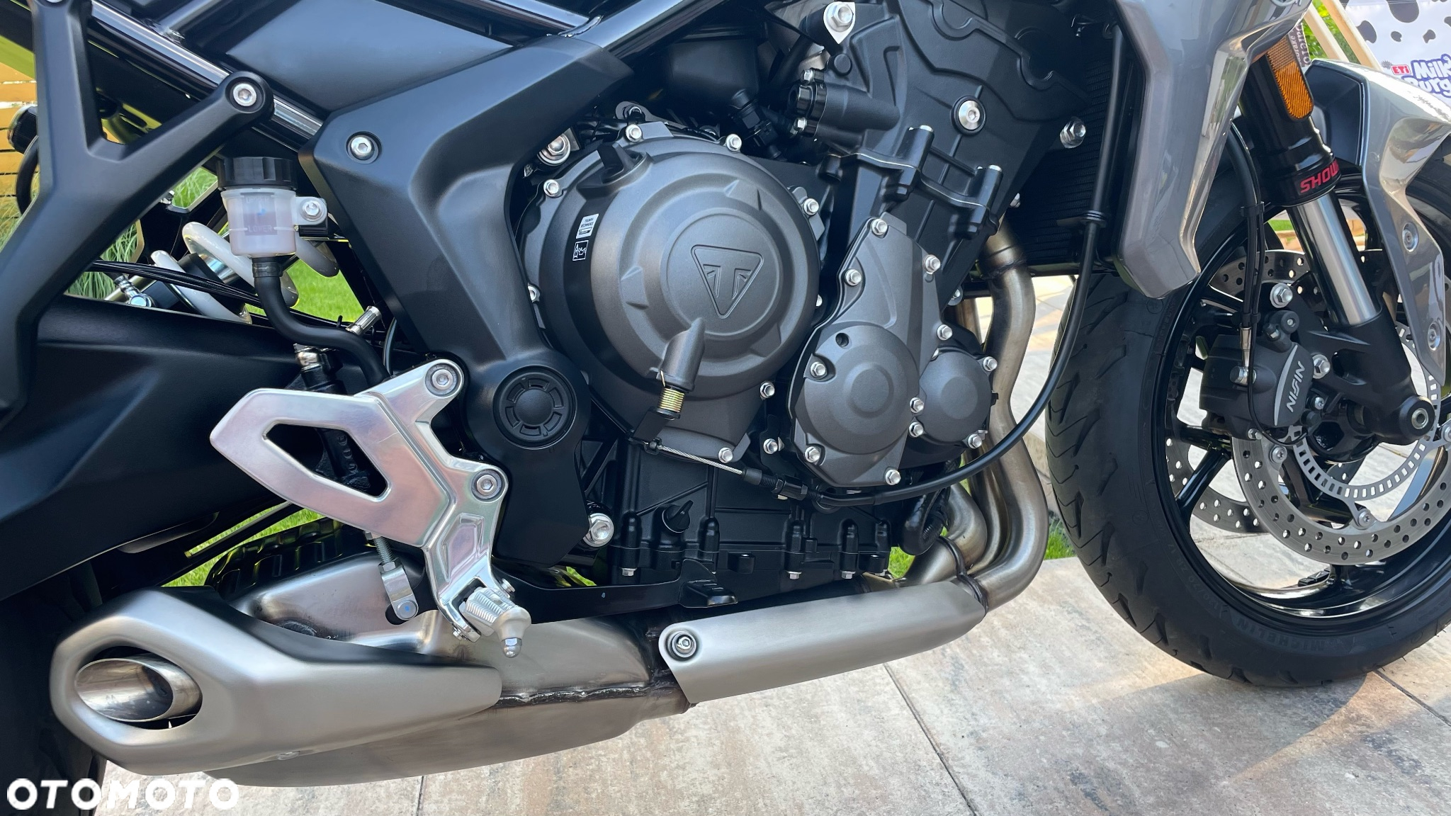 Triumph Tiger - 6