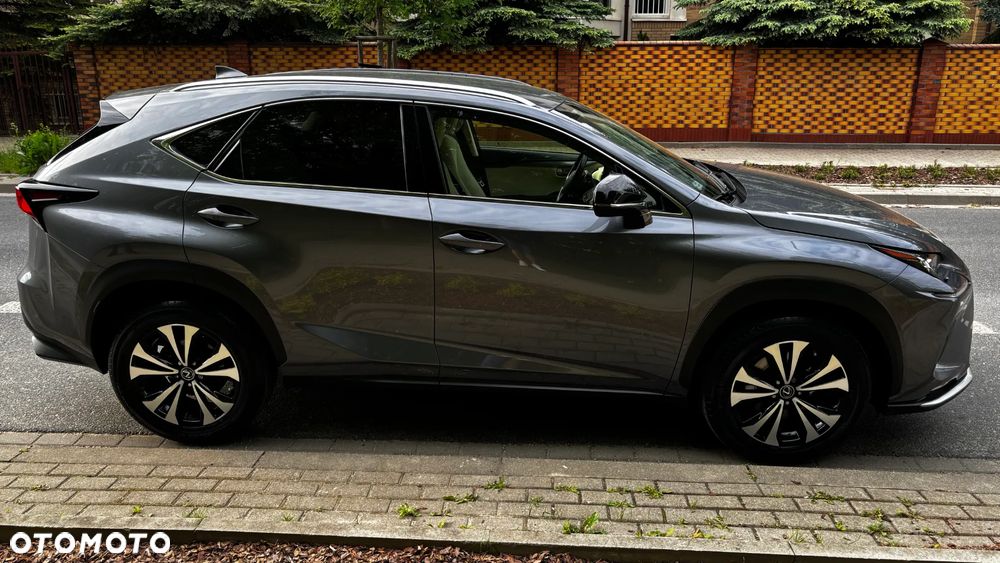 Lexus NX 300 Prestige AWD - 5