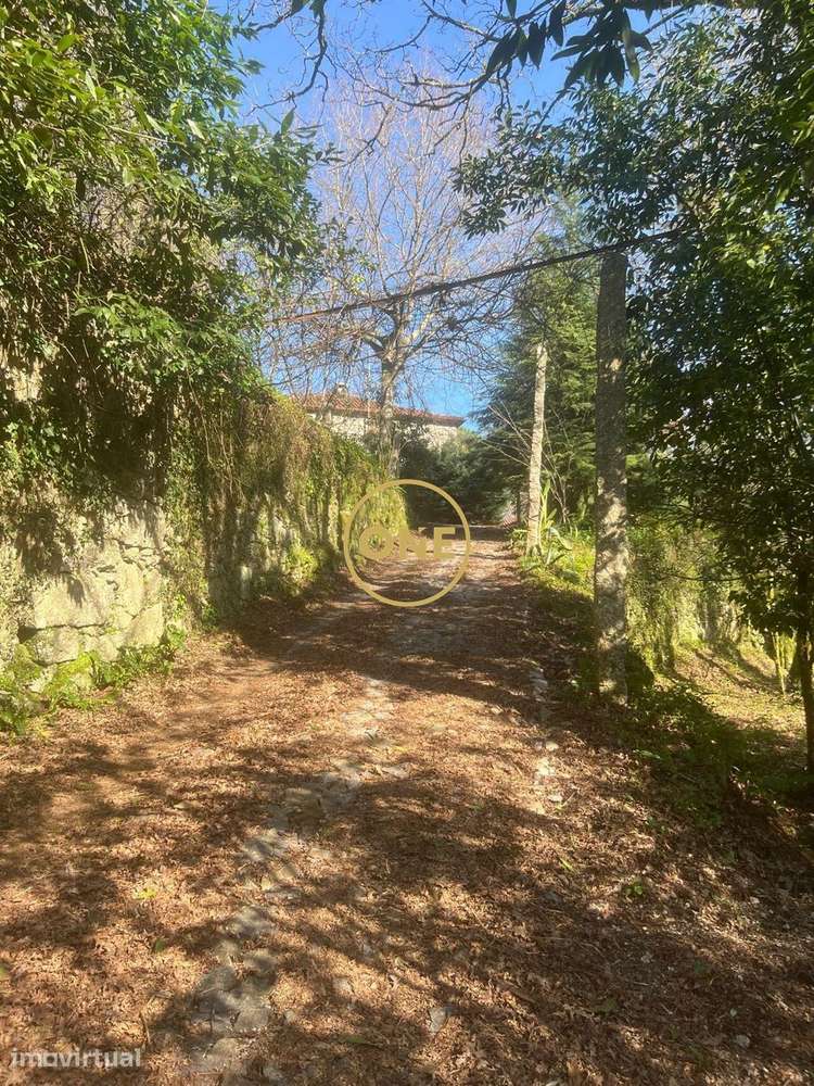 Quinta em Eira Vedra, a 2 minutos de Vieira do Minho, inserida num ter - Grande imagem: 2/40