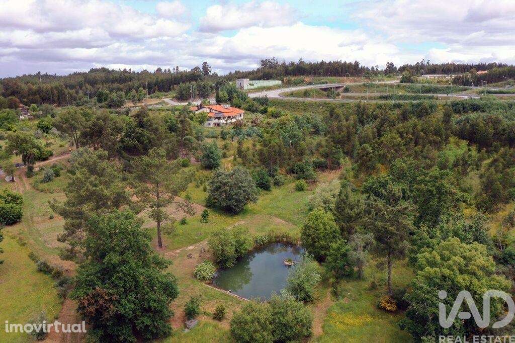 Quinta T6 em Candosa de 334,00 m2 - Grande imagem: 3/26