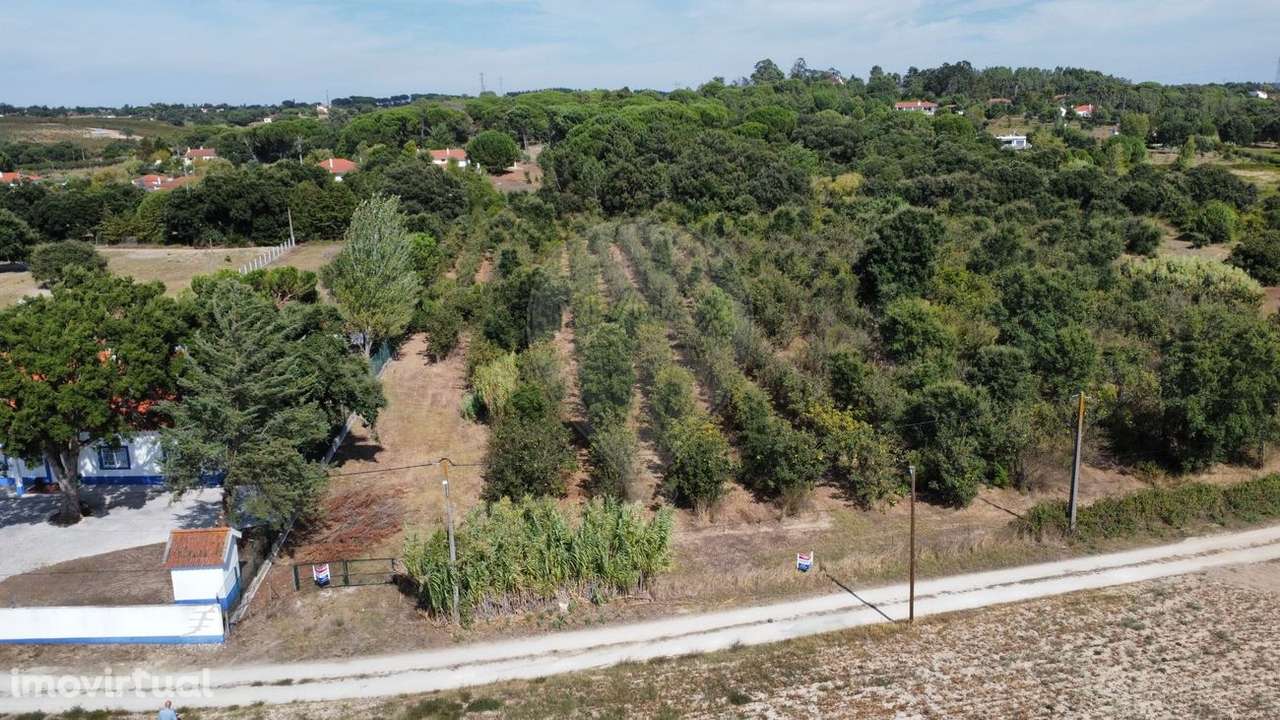 Terreno  para venda - Grande imagem: 5/5