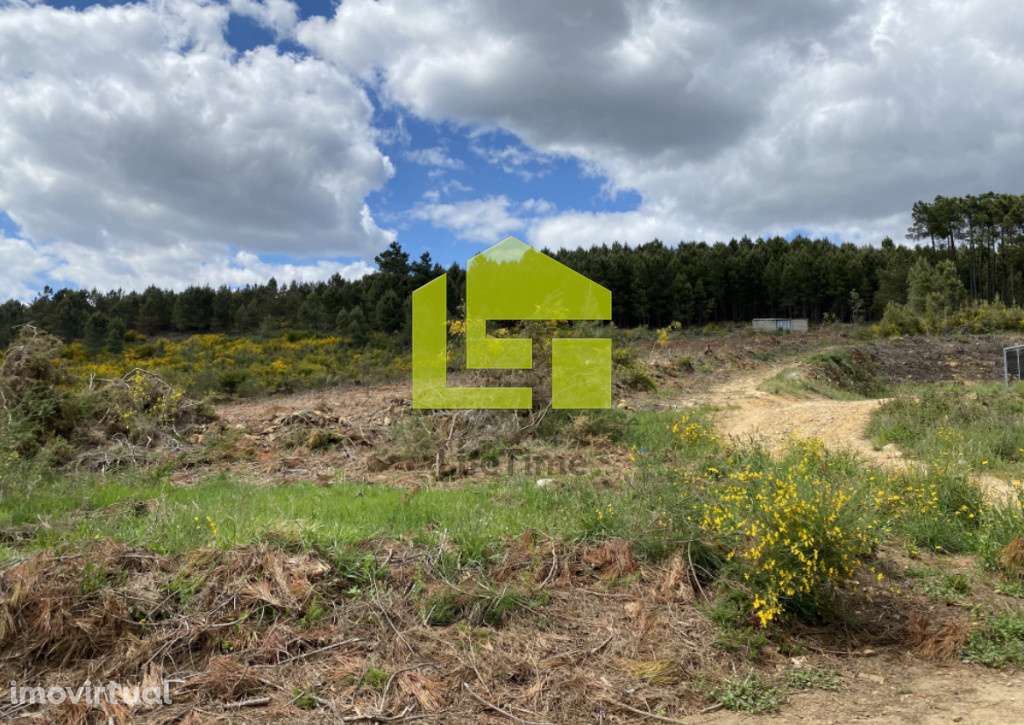 Venda Terreno - Grande imagem: 4/12