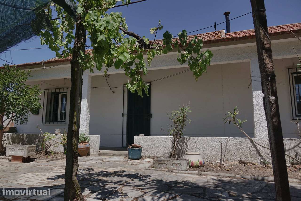 Quinta da Charneca Ribatejana - Zebro / Coruche - Grande imagem: 5/21
