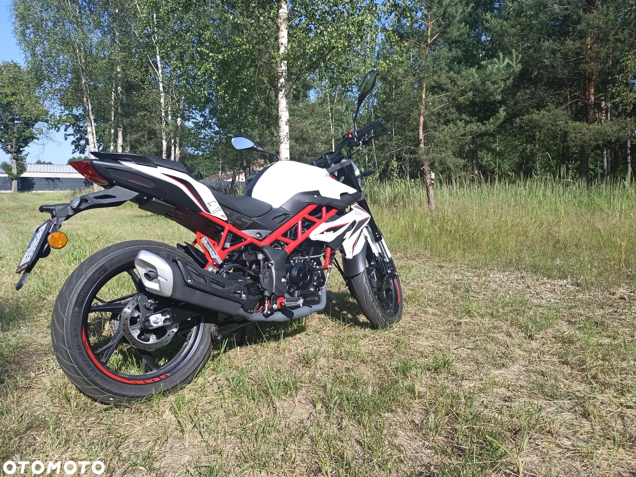 Benelli BN 125 - 7