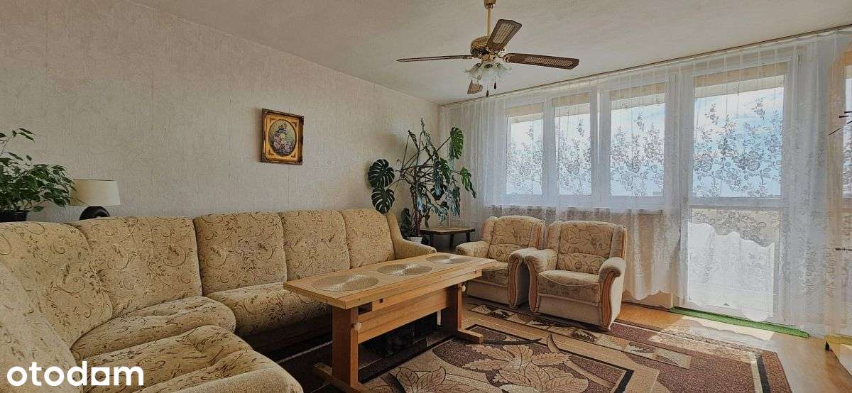 2 pokoje/loggia/8 piętro/Spółdzielcze z KW/al. Woj
