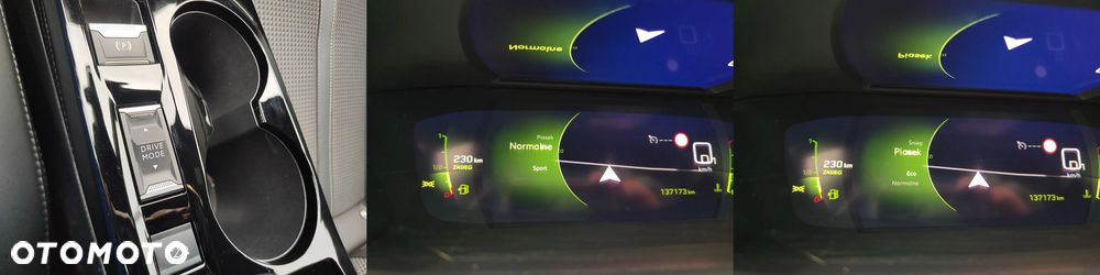 Peugeot 2008 1.5 BlueHDi GT Line S&S EAT8 - 31