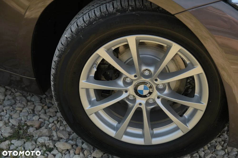 BMW Seria 3 318d Blue Performance Luxury Line - 16