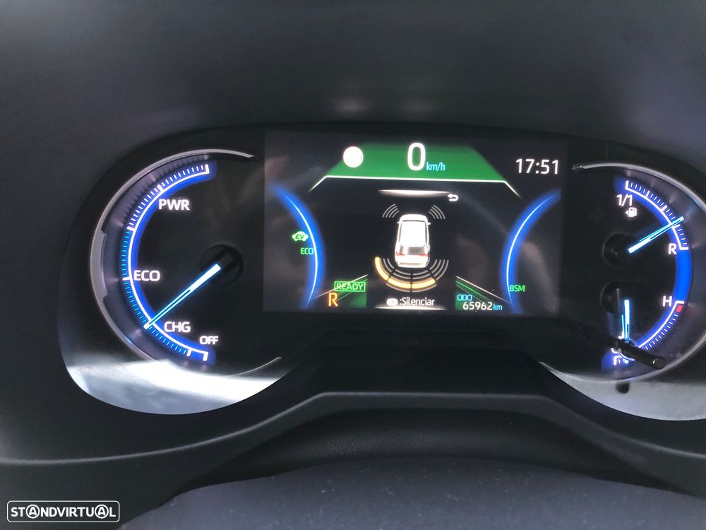 Toyota RAV4 2.5 HDF Exclusive P.Luxury - 21