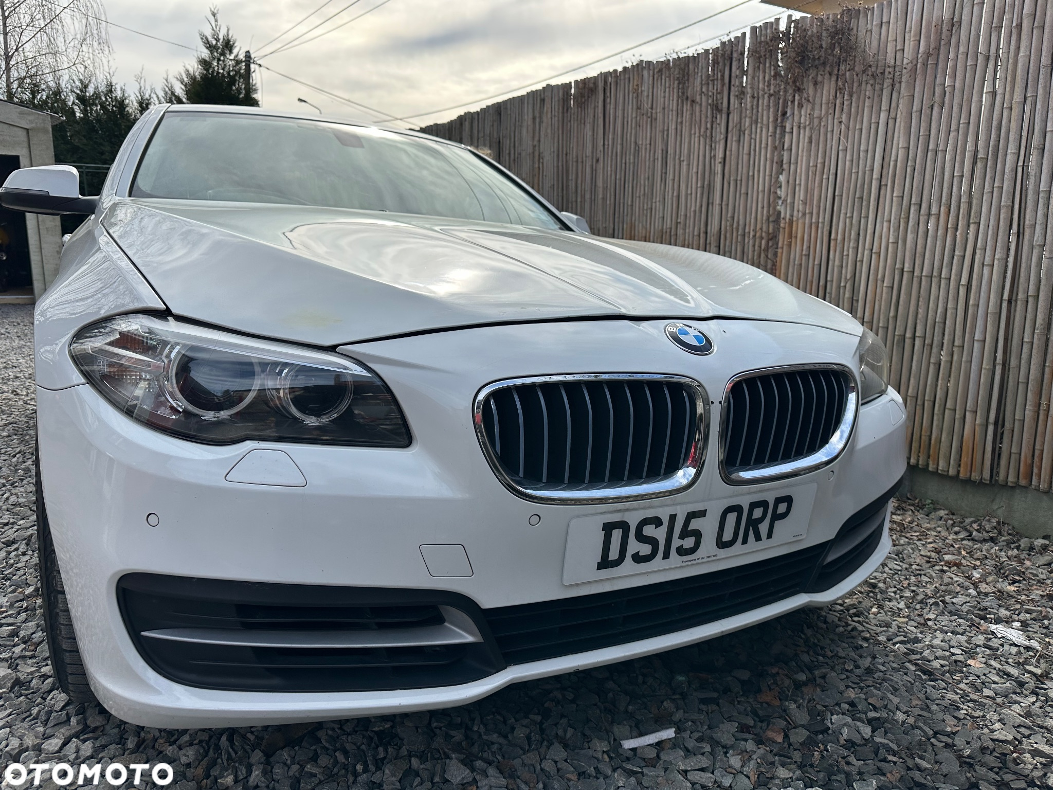 BMW Seria 5 520d Efficient Dynamics Edition Luxury Line - 2