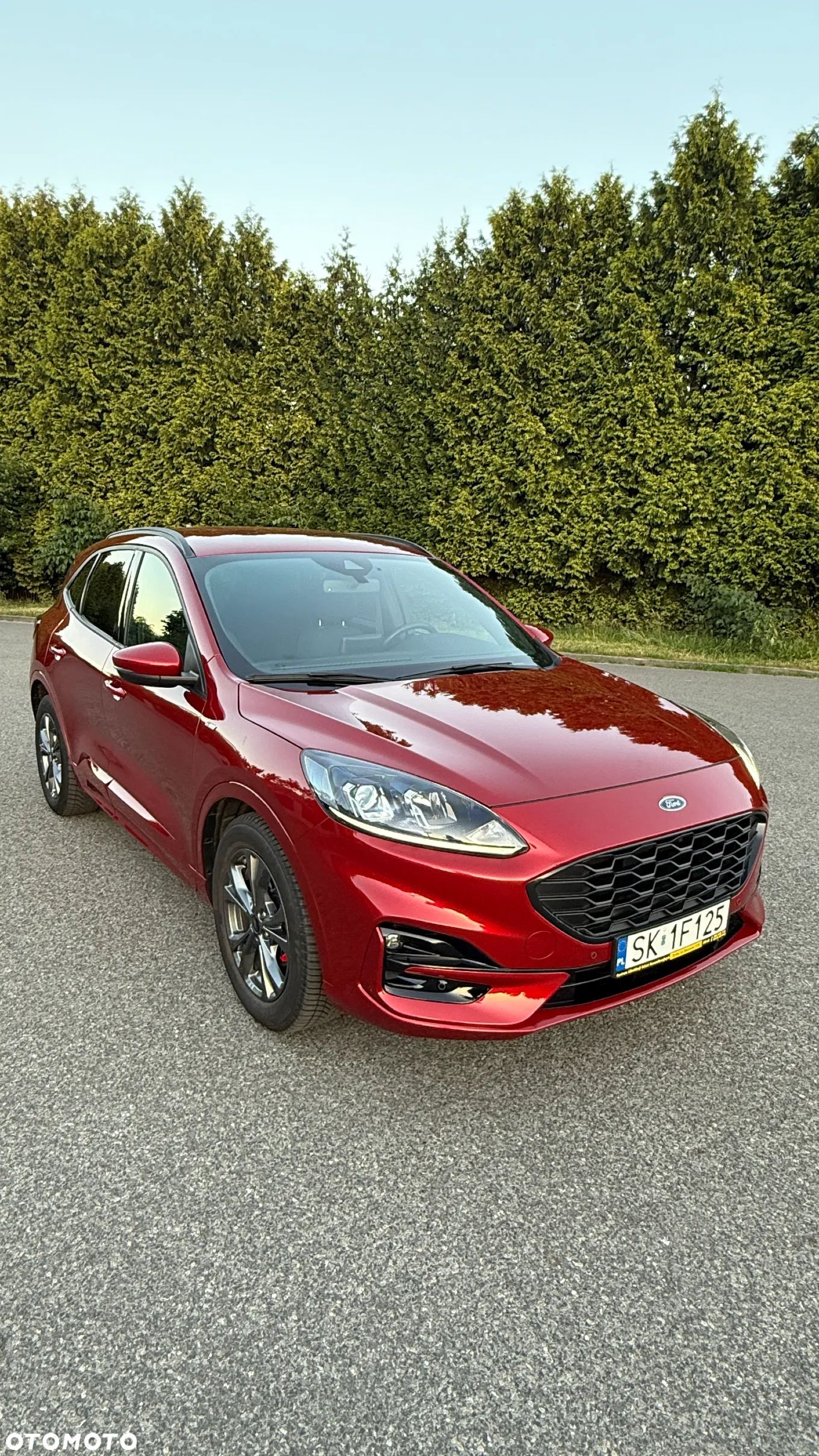 Ford Kuga 2.5 FHEV FWD ST-Line - 1